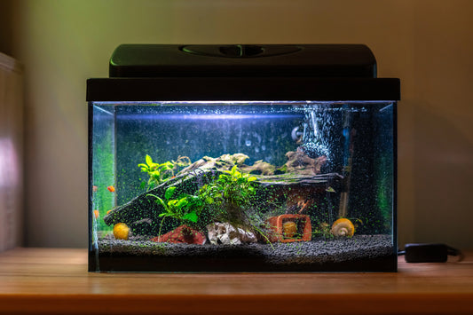 A guide to how to start your new fish tank !!
