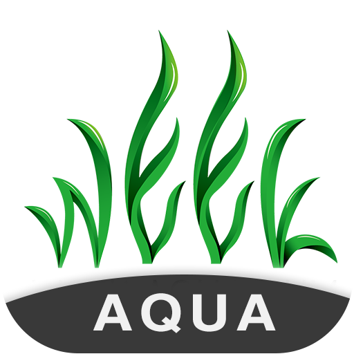 Week Aqua Brand