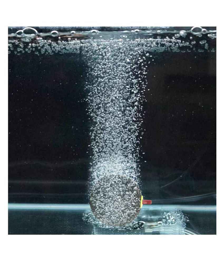 Air Pumps and Air stones