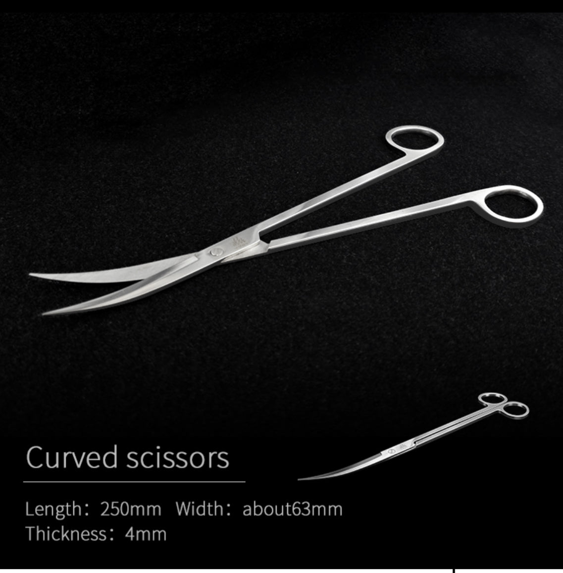 Week Aqua Stainless steel Curved scissors