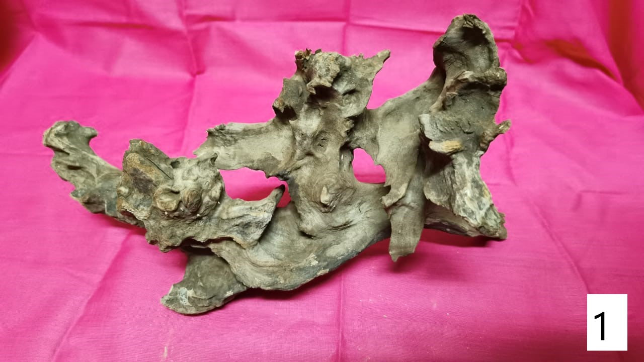Driftwoods sizes 30-40cm in length