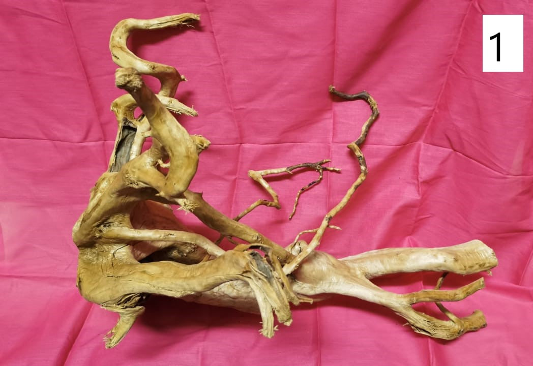 Driftwoods sizes 50-60 cm in length