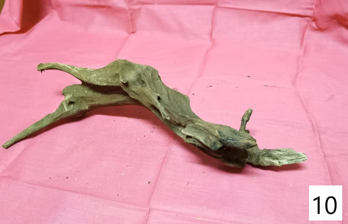 Driftwoods sizes 30-40cm in length