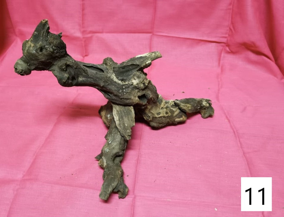 Driftwoods sizes 30-40cm in length