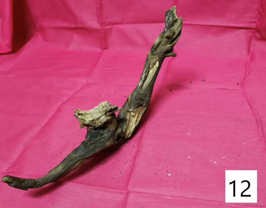 Driftwoods sizes 30-40cm in length