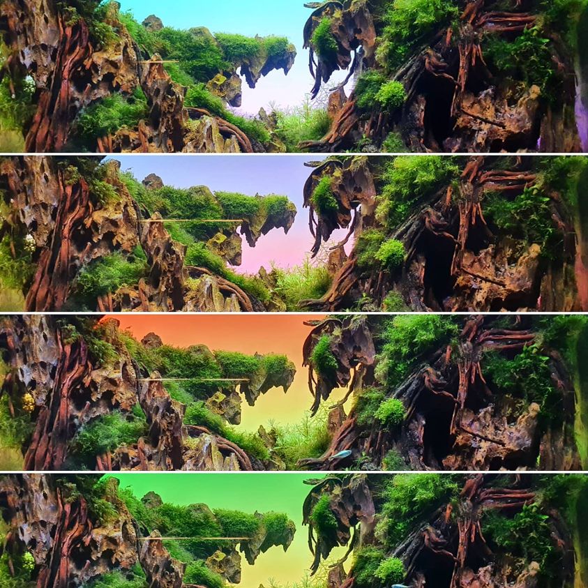 Thelightground RGB Panel