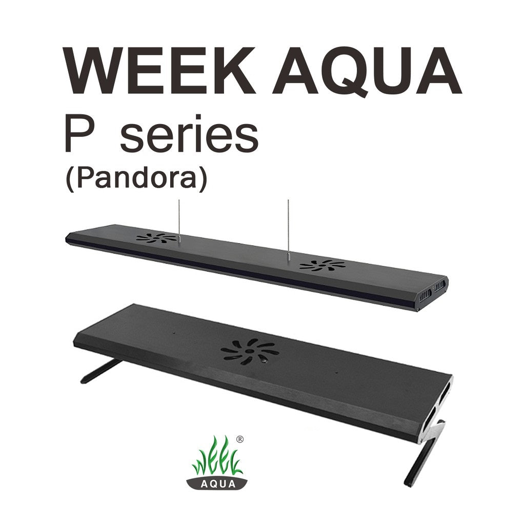 Week Aqua Pandora series P series P600 / P900 / P1200