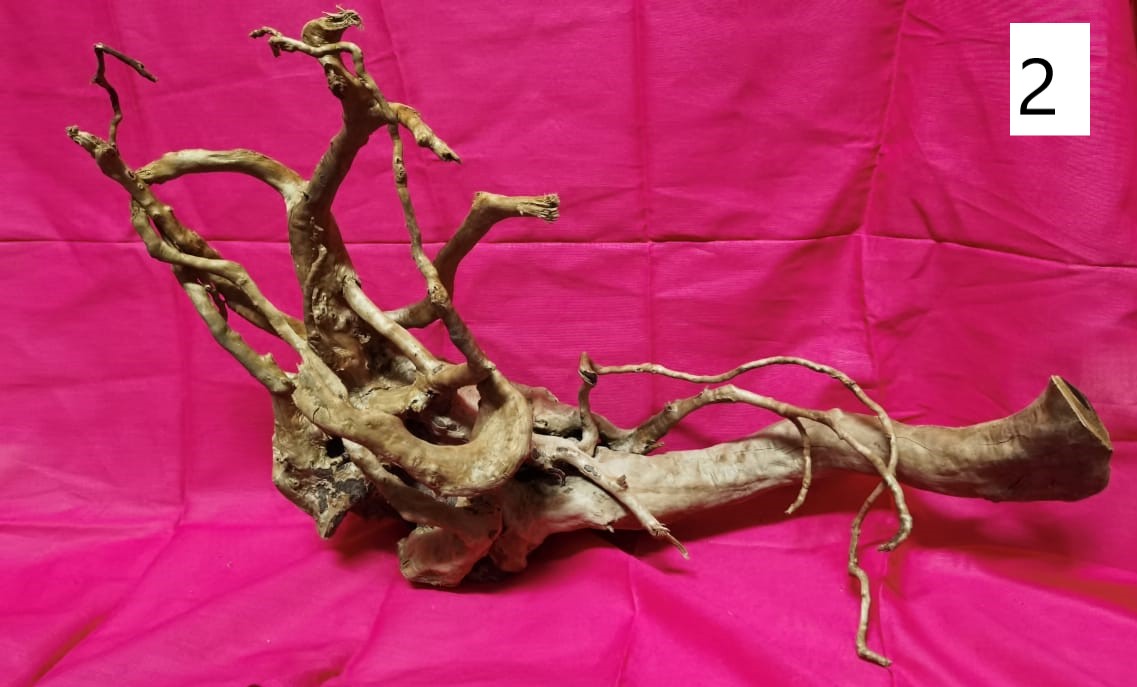 Driftwoods sizes 50-60 cm in length