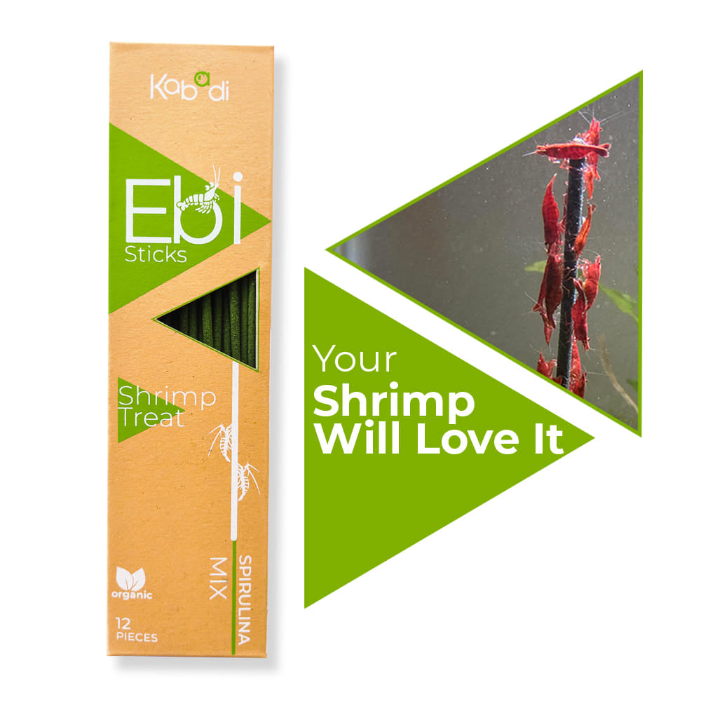 Kabadi Shrimp Treat Sticks - Spirulina