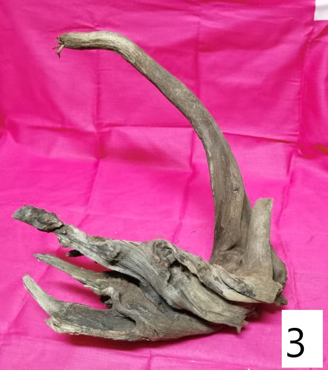 Driftwoods sizes 30-40cm in length
