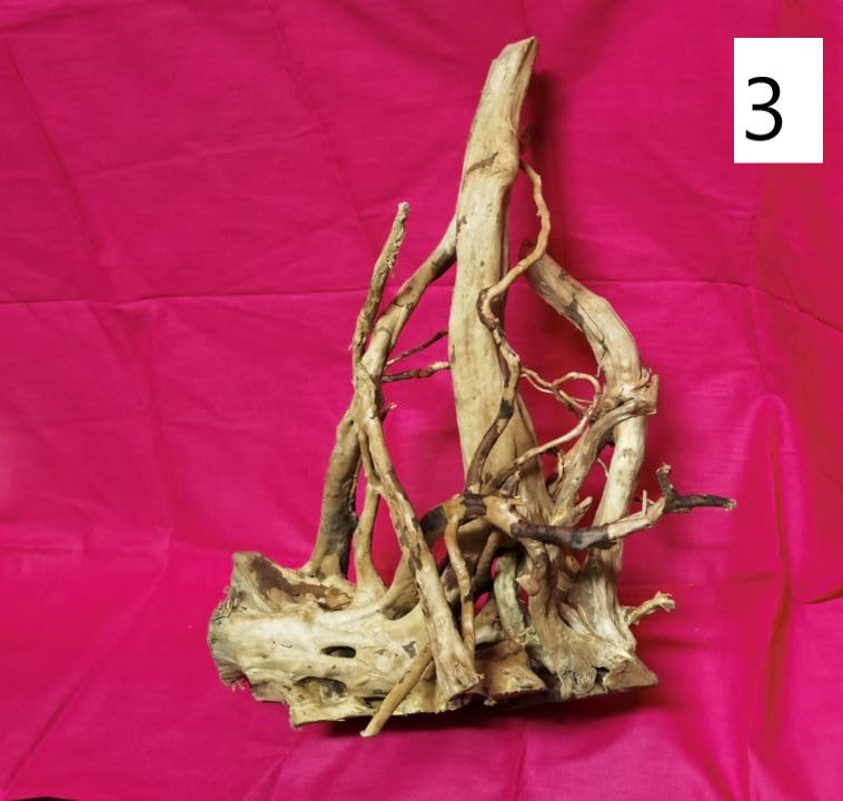 Driftwoods sizes 50-60 cm in length