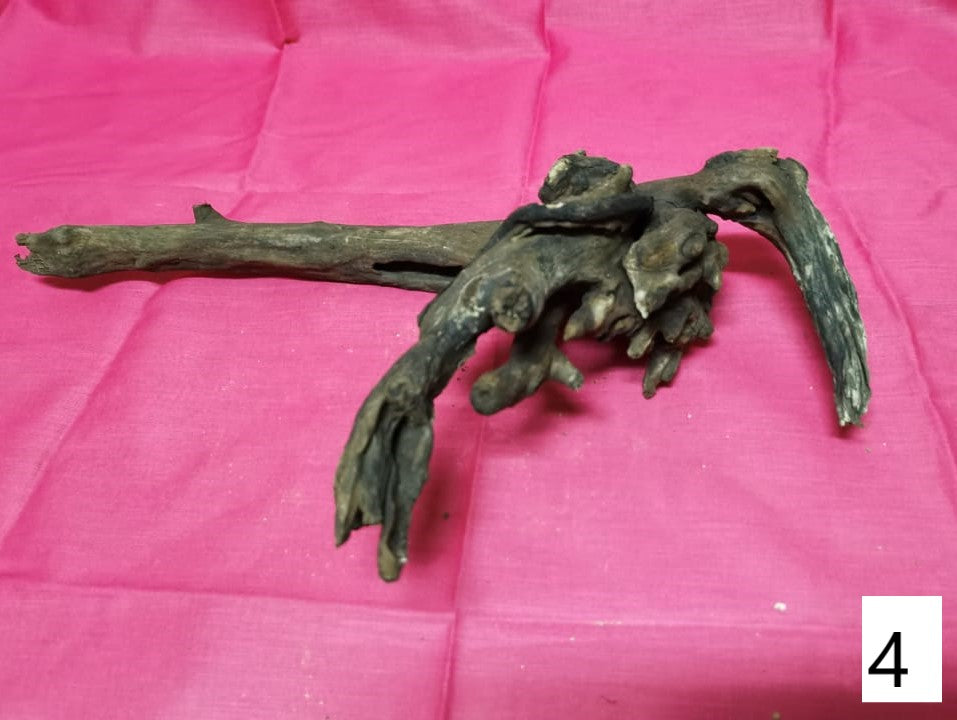 Driftwoods sizes 30-40cm in length