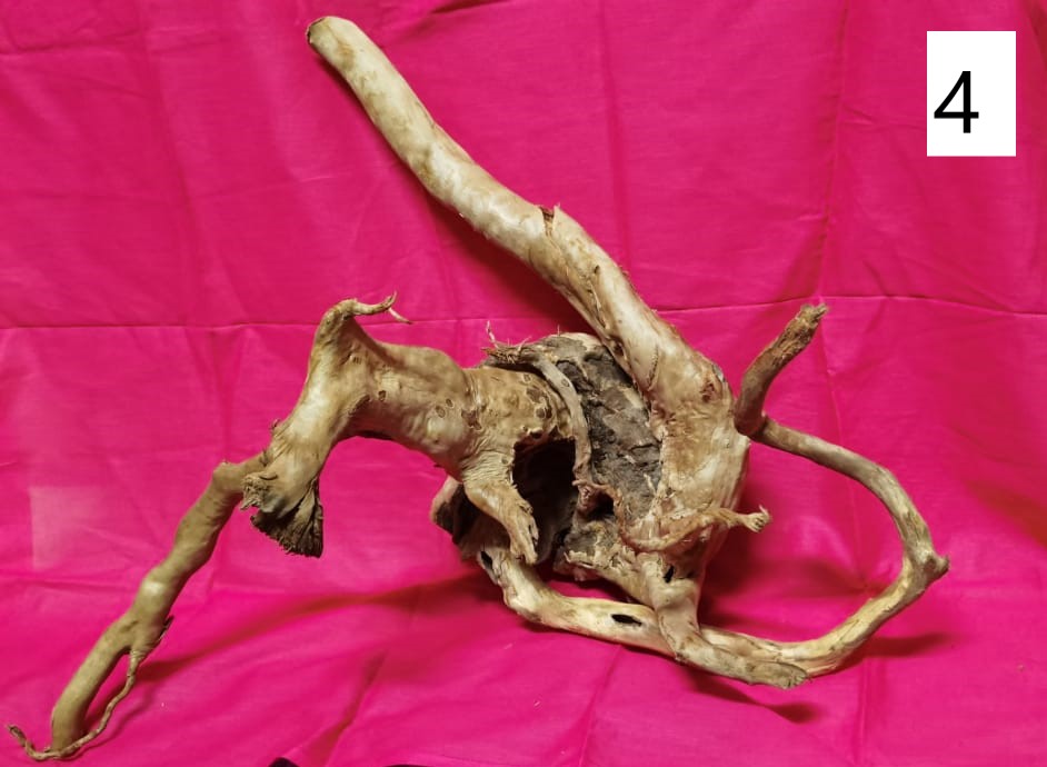 Driftwoods sizes 50-60 cm in length