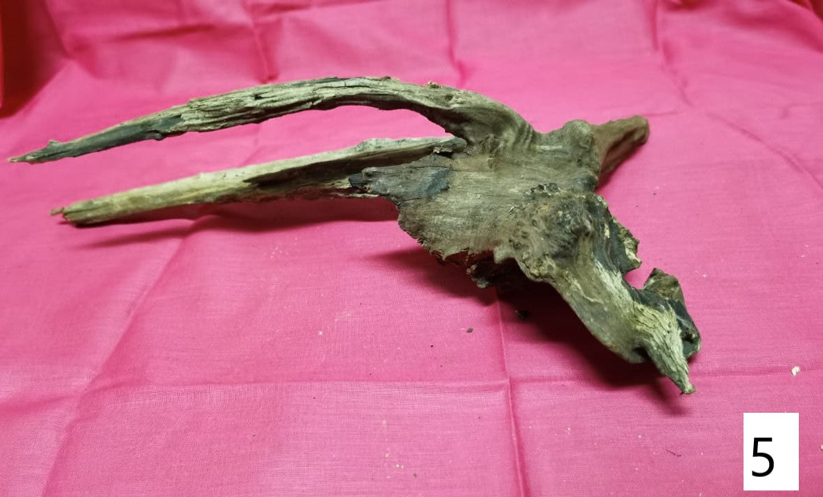 Driftwoods sizes 30-40cm in length