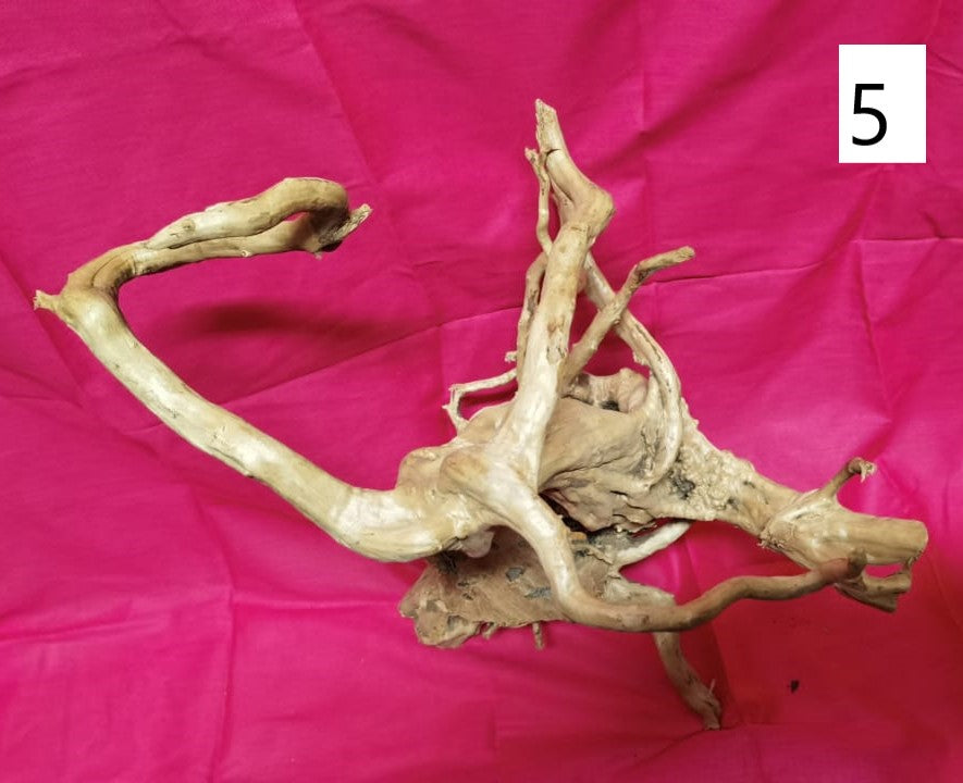 Driftwoods sizes 50-60 cm in length
