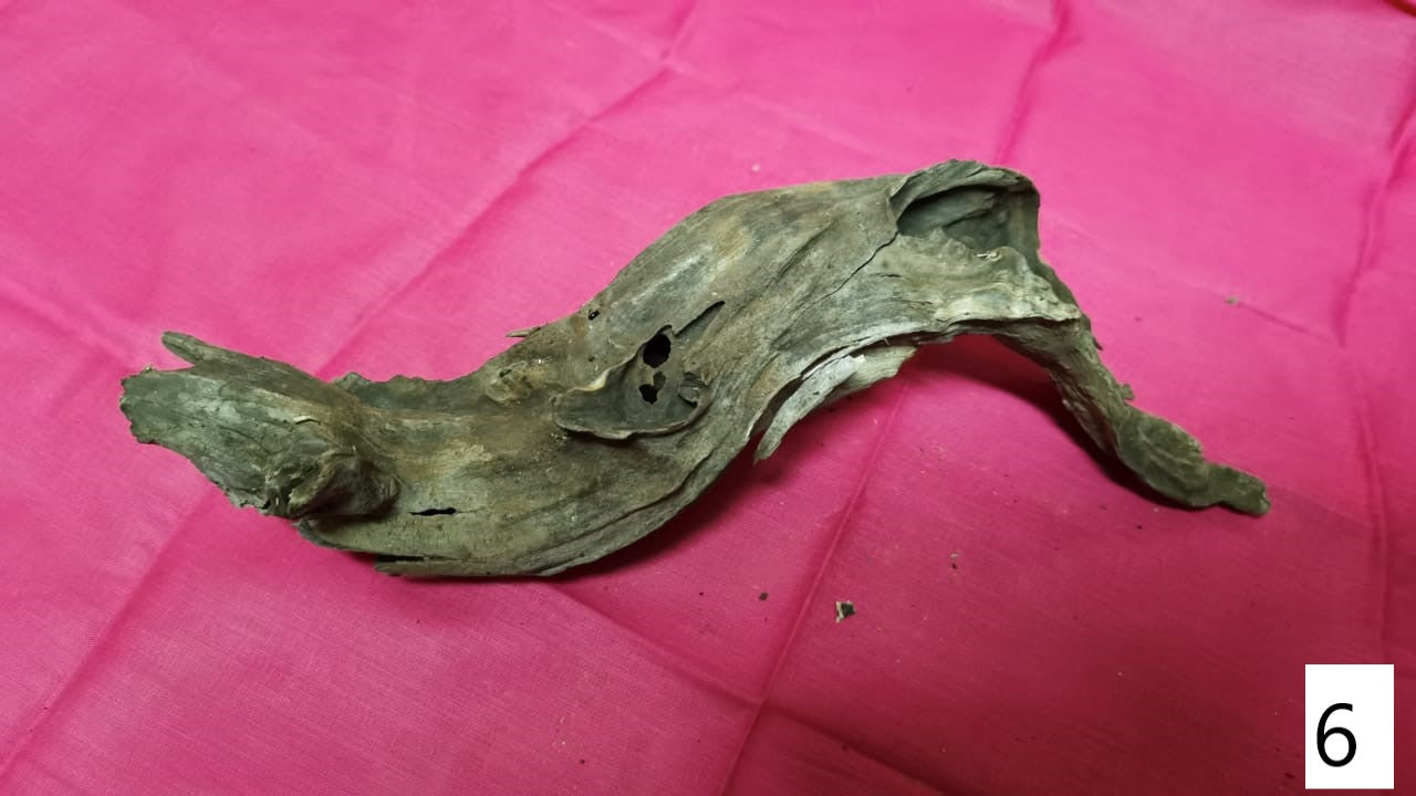 Driftwoods sizes 30-40cm in length