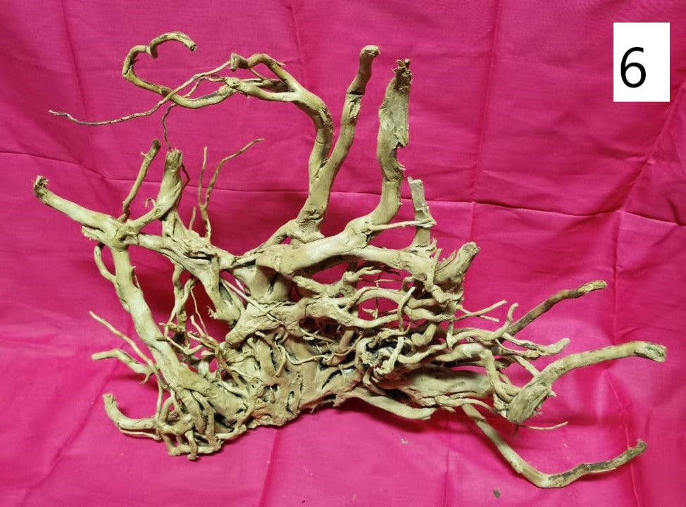 Driftwoods sizes 50-60 cm in length