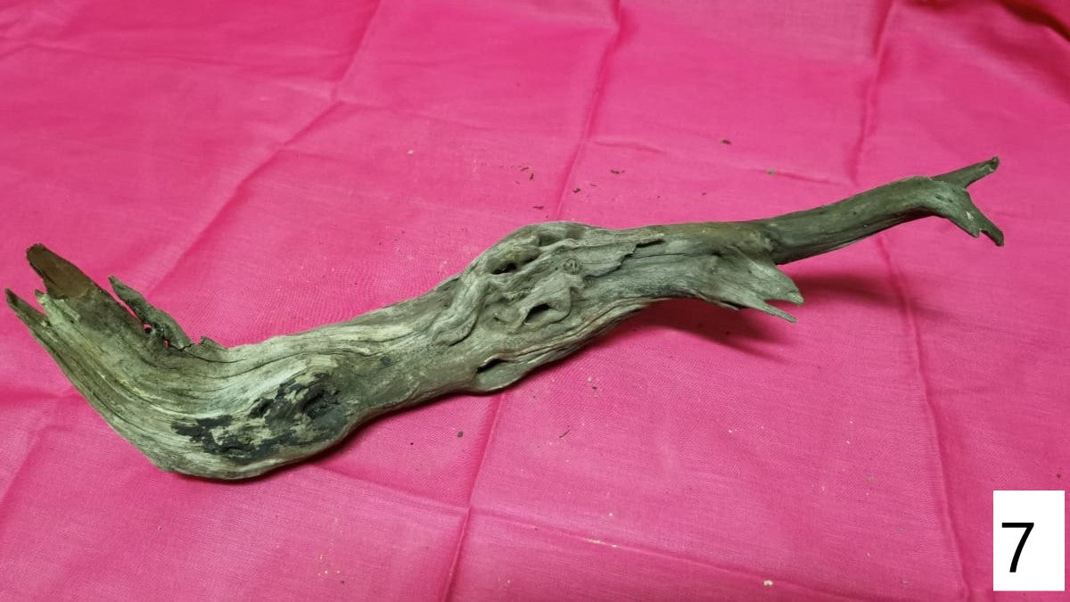 Driftwoods sizes 30-40cm in length