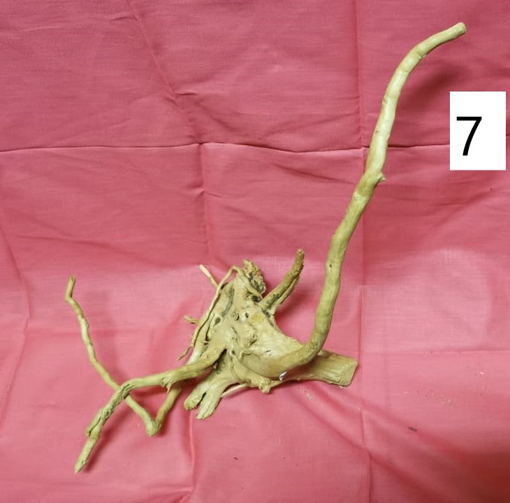 Driftwoods sizes 50-60 cm in length