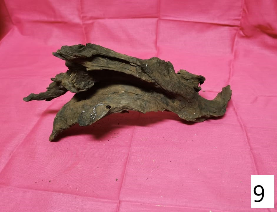 Driftwoods sizes 30-40cm in length