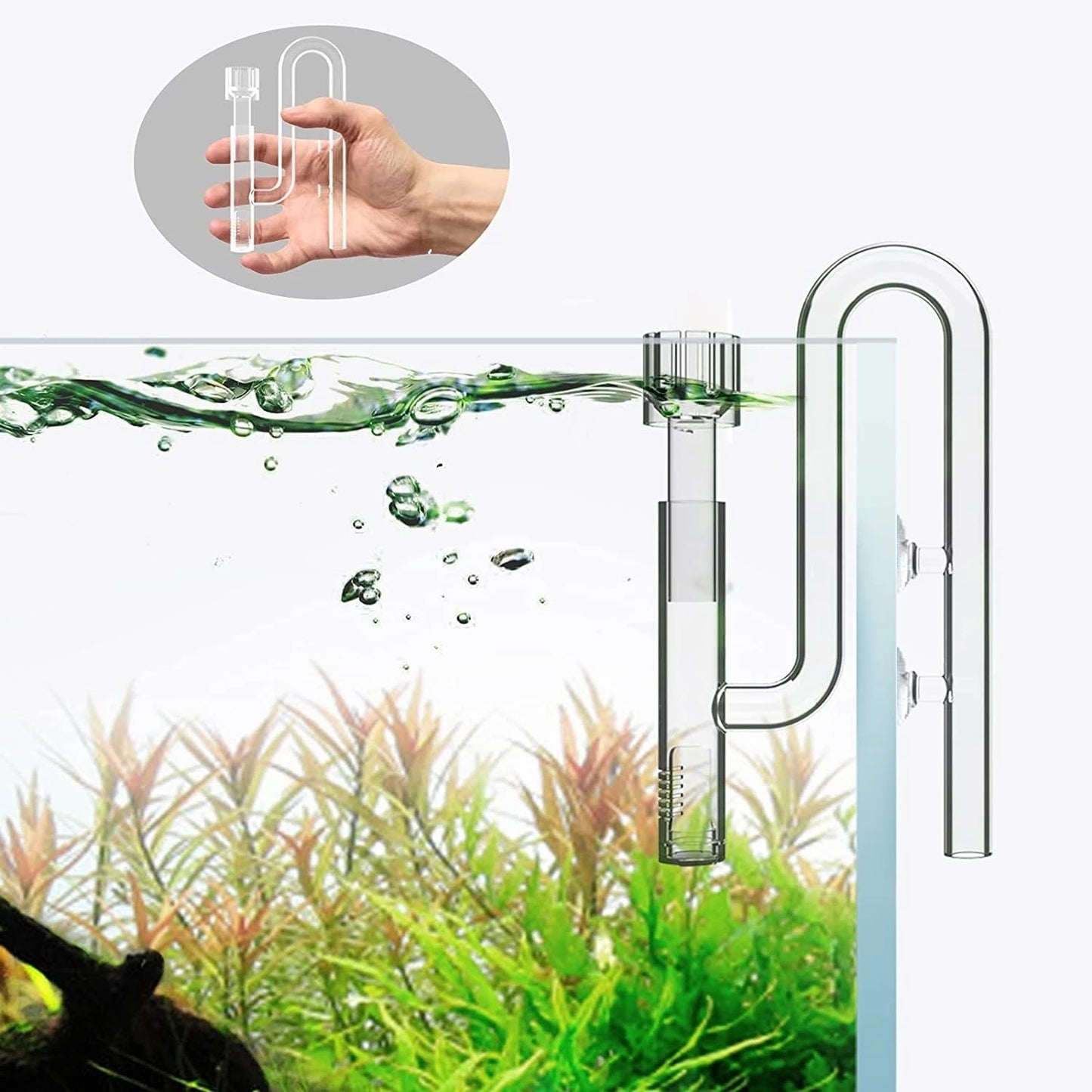 FZONE Aquatic Mini Glass Lily Pipe outlet with inlet skimmer 12/16 or 09/10 hoses