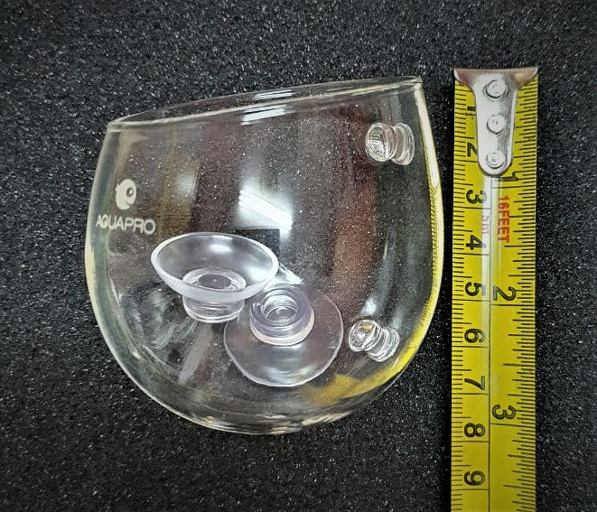 Glass pot for planted tank