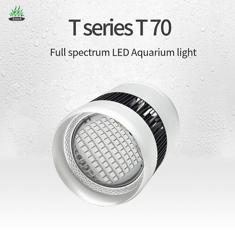 Week Aqua Mini Rocket T70
