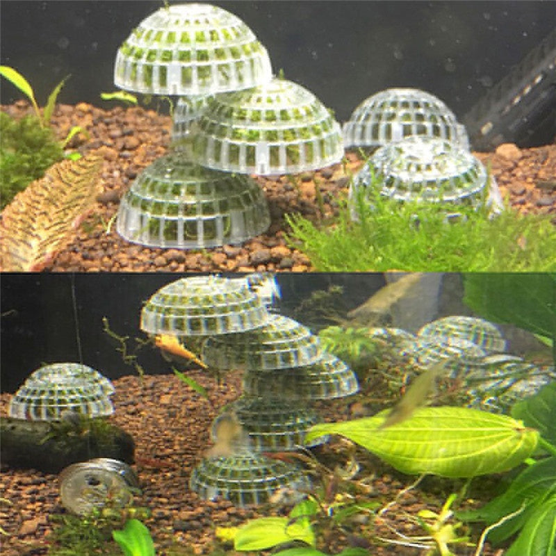 Floating moss sphere