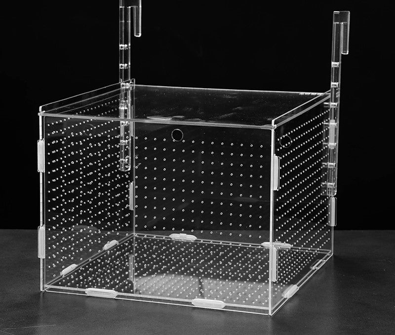 Breeding/ Isolation box acrylic with hook single or double compartment