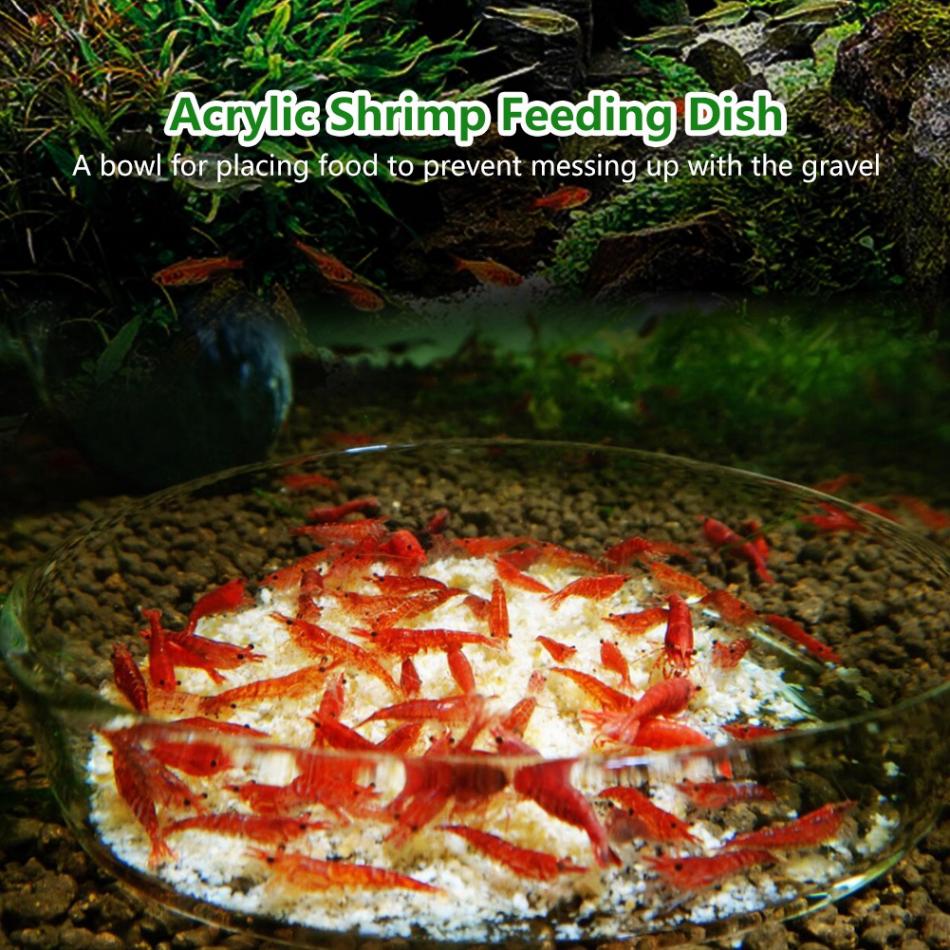 Feeding bowl round tray