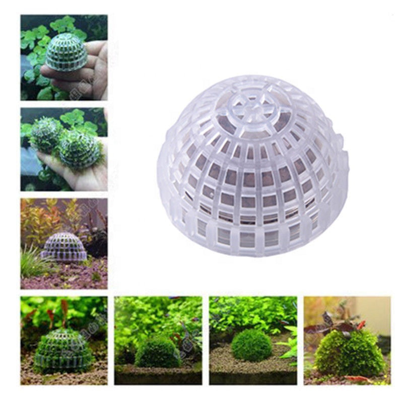 Qanvee Moss ball with minerals