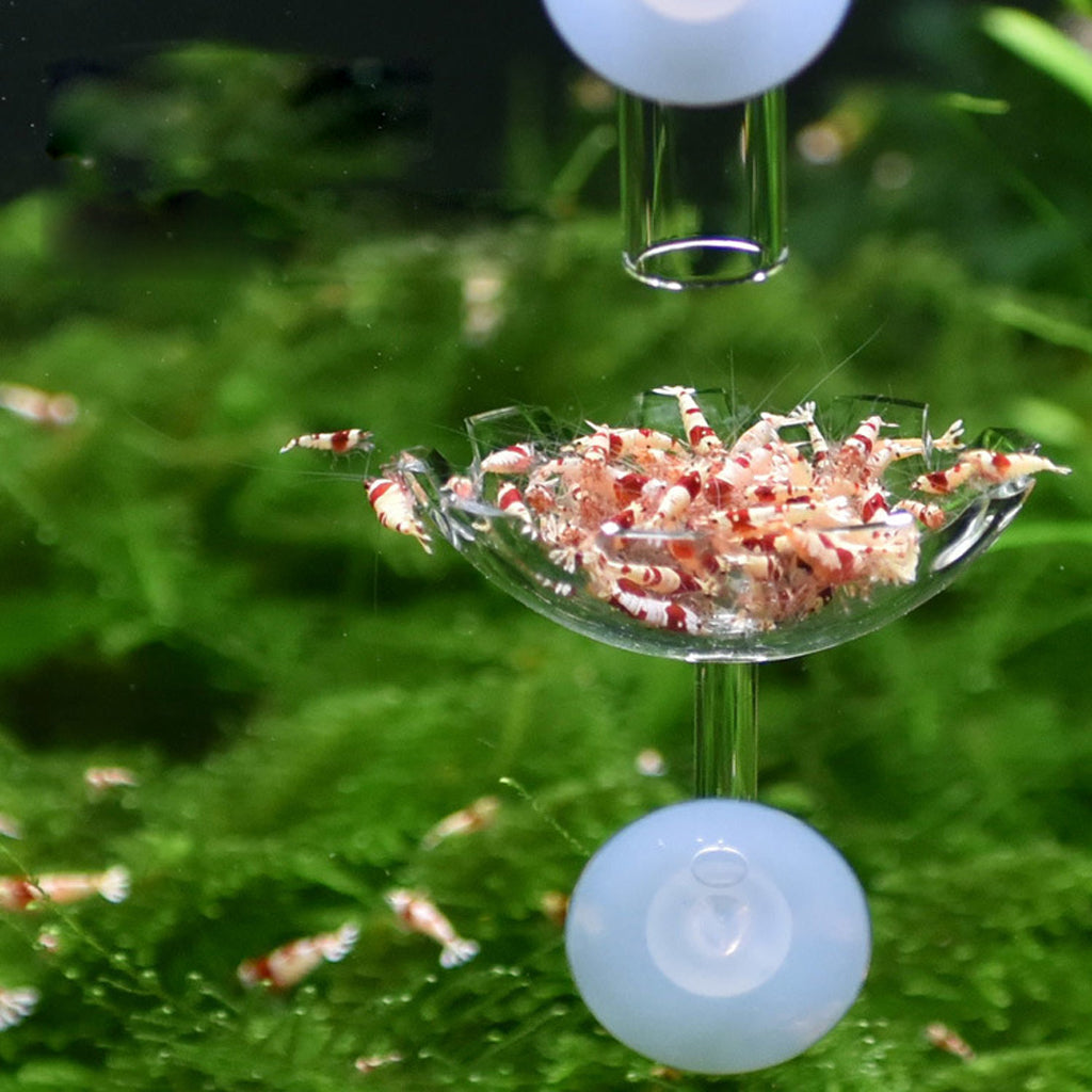 Walkingfarm Rack feeding bowl