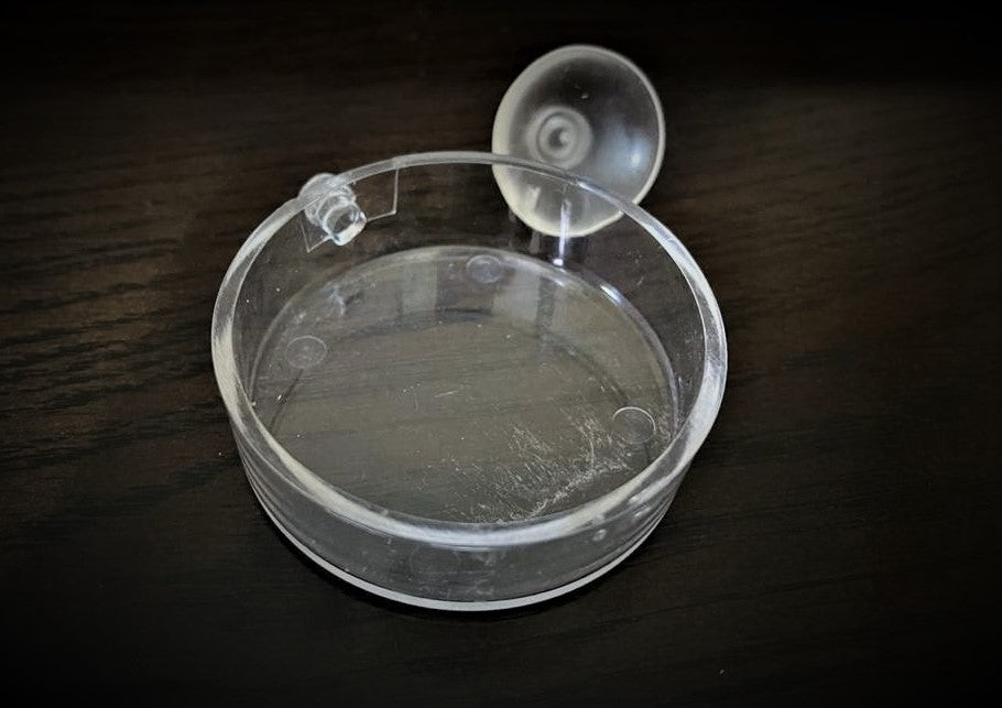 Shrimp feeding bowl with suction cup