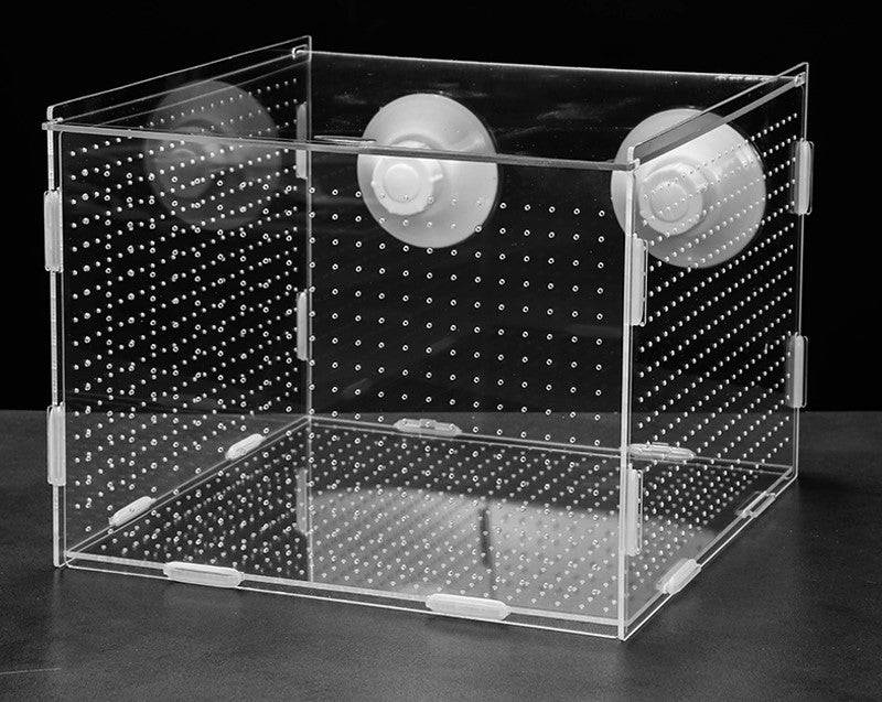 Breeding/ Isolation box acrylic