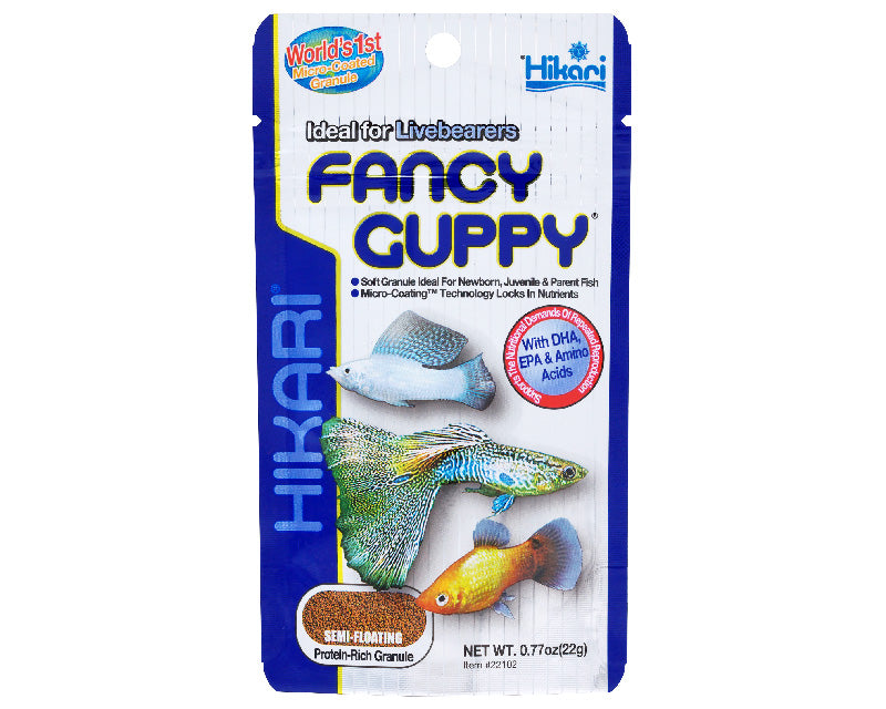 Tropical guppies hot sale