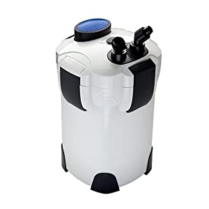 Canister Filters for Aquariums!