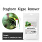 Dr Tank Staghorn algae remover
