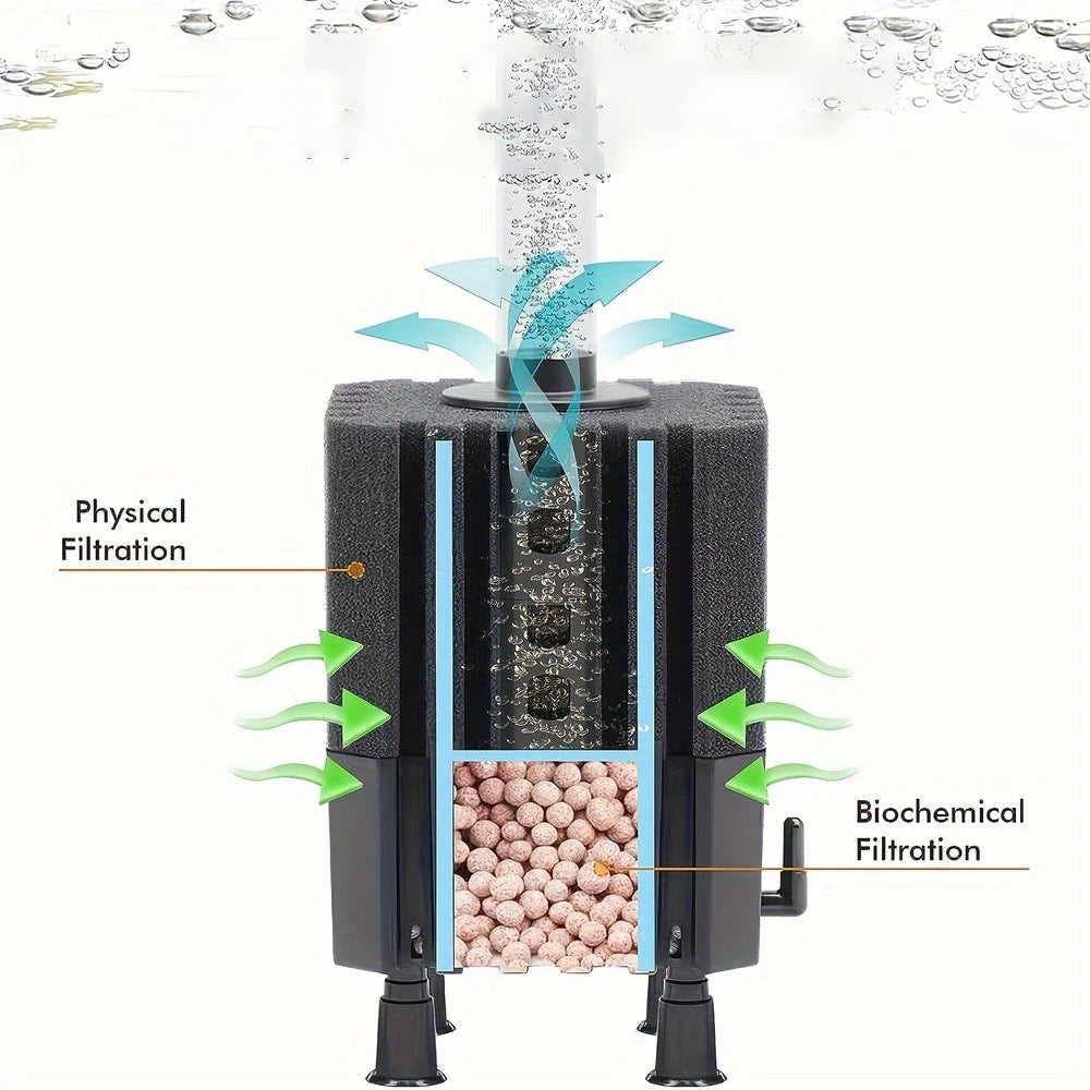 Sponge filter with media and air stone