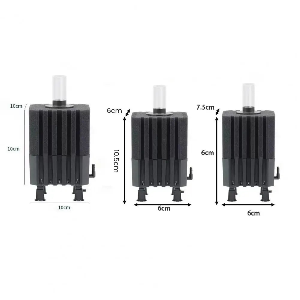 Sponge filter with media and air stone