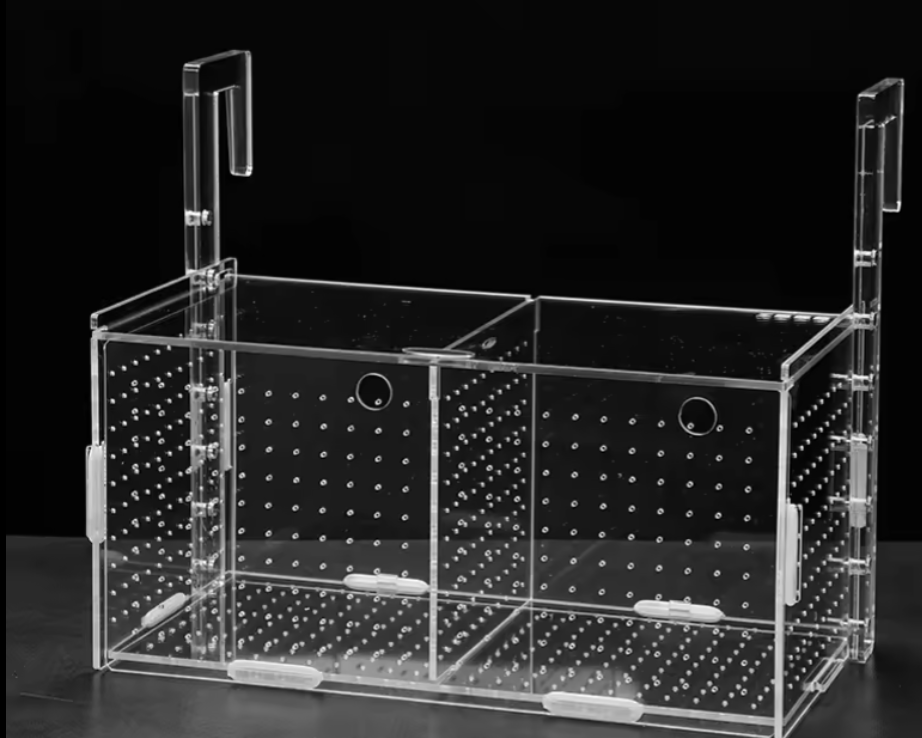 Breeding/ Isolation box acrylic with hook single or double compartment