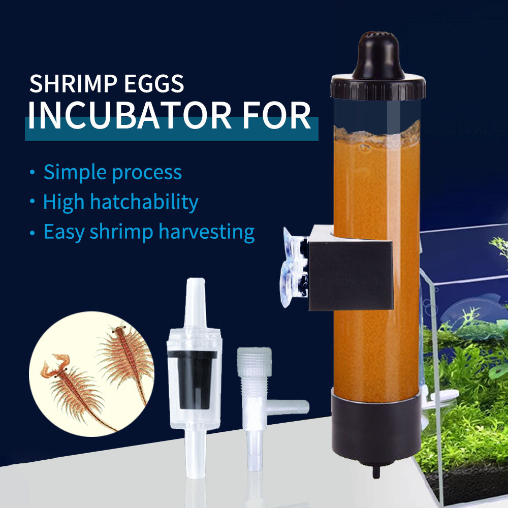 Brine Shrimp Incubator