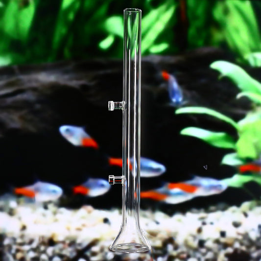 Crystal shrimp feeding tube with holder